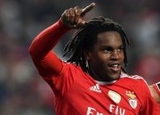 Renato Sanches: A garra de um Leão