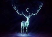 Os signos e o Solstício de Inverno