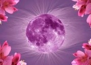 Calendário lunar para Abril: os melhores dias do mês