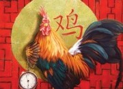 Previsões 2017 horóscopo Chinês - Ano do Galo de Fogo