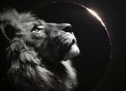 Lua Nova em Leão e Eclipse Solar no dia 21 de Agosto
