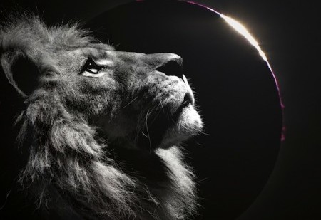 Lua Nova em Le&atilde;o e Eclipse Solar no dia 12 de agosto