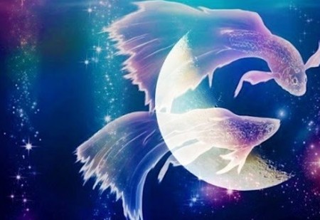 Lua Nova em Peixes: introspeção, sensibilidade e magia