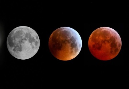 Calendário lunar para novembro 2023: os melhores dias do mês