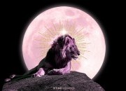 Calend&aacute;rio lunar para fevereiro 2026: os melhores dias do m&ecirc;s