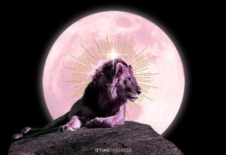 Calend&aacute;rio lunar para fevereiro 2026: os melhores dias do m&ecirc;s