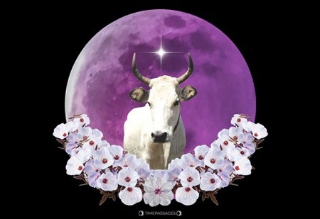 Calendário lunar para abril 2025: os melhores dias do mês
