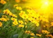 O significado do Equinócio da Primavera