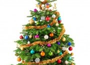 A tradição da Árvore de Natal
