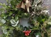As 7 plantas especiais de Dezembro