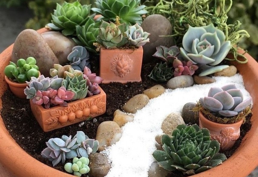Faça um jardim zen em sua casa