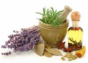 Medicina Natural - os milagres que a Natureza nos oferece