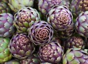 Plantas e frutas que curam