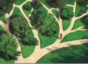 Qual é o seu Caminho de Vida?