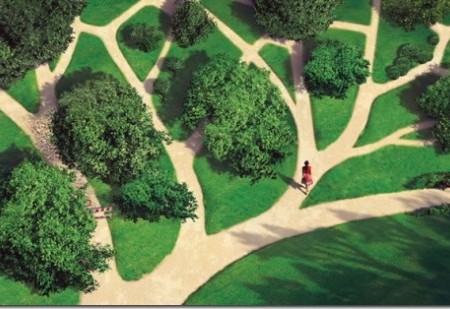 Qual é o seu Caminho de Vida?