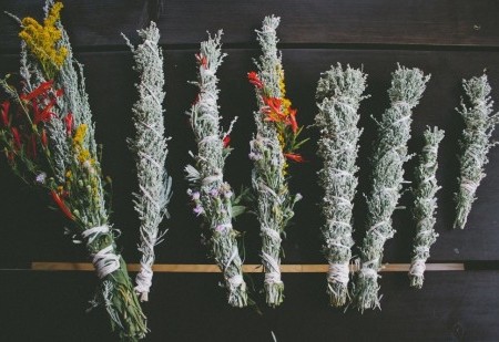 7 plantas para limpar as energias de sua casa