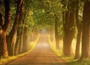 Oração para a abertura de caminhos