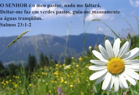 O poderoso Salmo 23 para atrair a prosperidade