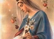 Reze a Salve Rainha!