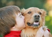 Oração pela cura de um animal