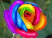 Faça o teste das cores e descubra do que a sua alma precisa neste momento