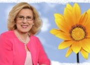 Aprender a encontrar a felicidade!