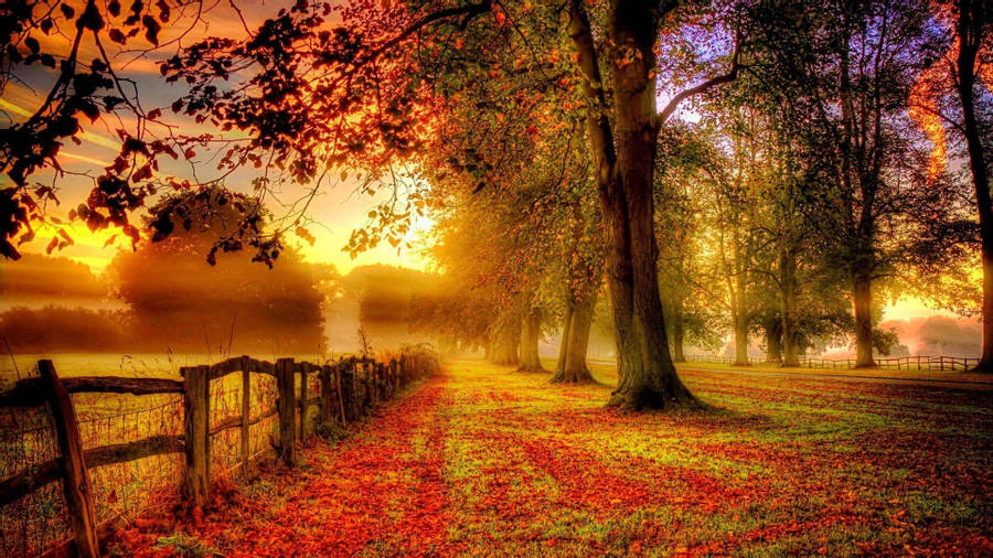 autumn-country-road-sunset-kquin5jg1dtbyxgc.jpg
