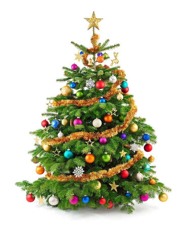 Conheça o significado da tradição da árvore de Natal
